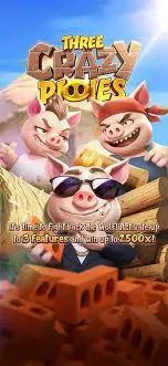 Three Crazy Piggies
